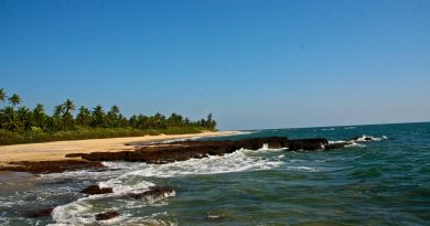 bhogwe beach