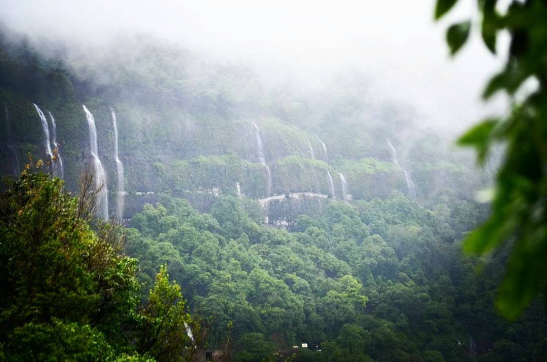 Maharashtra: Amboli named as biodiversity heritage site