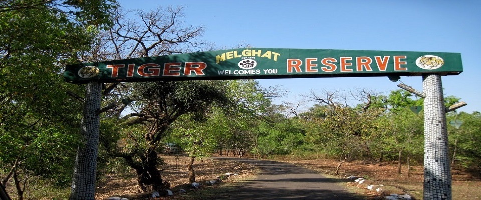 A map of the Melghat Tiger Reserve | Download Scientific Diagram