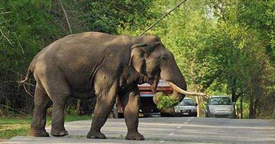 Gautala Wildlife Sanctuary