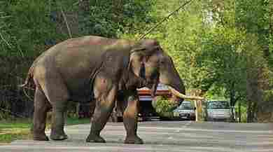 Gautala Wildlife Sanctuary